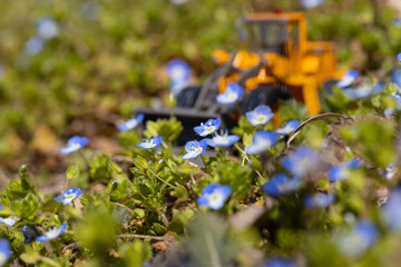 花畑を破壊するホイールローダー