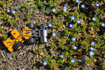 花畑を破壊するホイールローダー