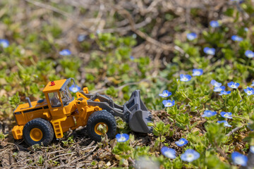 花畑を破壊するホイールローダー