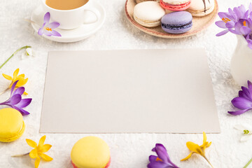 Beige paper sheet mockup with spring snowdrop crocus flowers and multicolored macaroons on gray concrete background. side view, copy space.