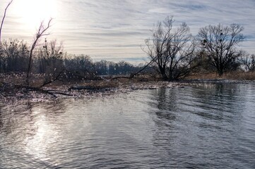 Fototapeta premium 2021 - 02 - Neu Amerika - Neu Amerika 80 