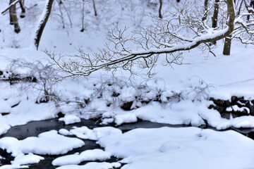 Fototapeta na wymiar Snowy landscape of Seonunsan Mountain in Gochang, Korea