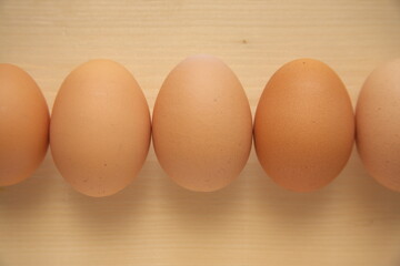 並べられた卵２