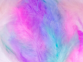 Fototapeta na wymiar Beautiful abstract light pink feathers on colorful background, colorful feather frame on green purple and blue texture pattern, pink background, love theme wallpaper, valentines day, white gradient