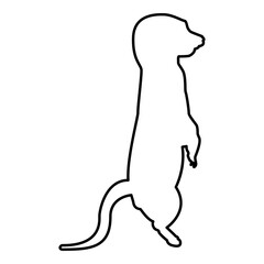 Meerkat in pose Suricata Suricatta contour outline black color vector illustration flat style image
