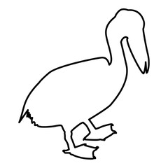 Pelican bird Seabird Waterbird contour outline black color vector illustration flat style image