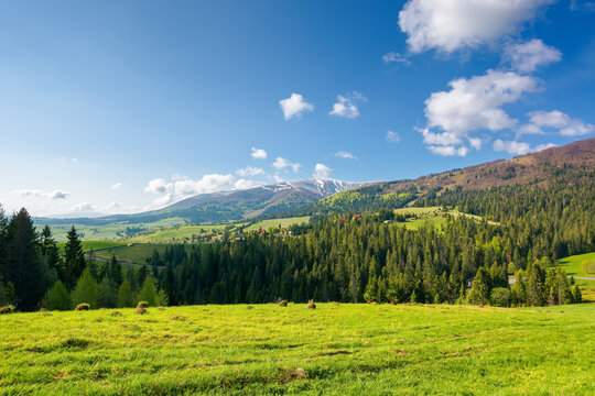 countryside landscape of carpathian mountains. wonderful nature scenery in spring time. fluffy clouds on the sky. village in the distant valley