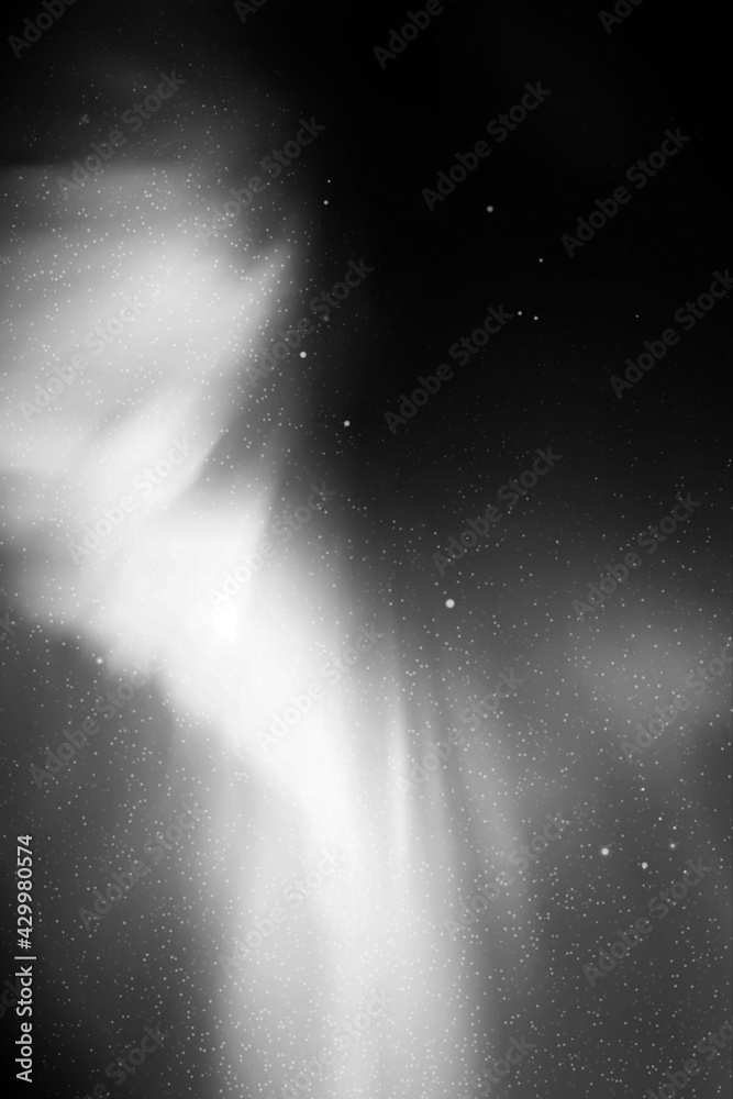 Poster night starry sky. northern lights, aurora borealis. black white vector