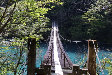 寸又峡、春の風景。南アルプス大井川上流に流れ込む寸又川が造る渓谷。エメラルドグリーンの水がゆっくり流れ幻想的な風景が見られる。流れをせき止めた大間ダム（チンダル湖)付近には吊り橋がかけられ、「夢の吊り橋」として観光名所となっている。
