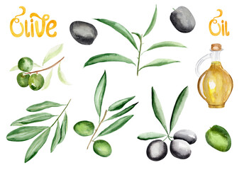 Olives, twigs, oil watercolor set. Template for decorating designs and illustrations.