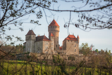 Fototapeta na wymiar Le château de Montrottier, haute Savoie