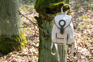 A white tourist backpack hangs on a tree. The tree is covered with moss. Spring sunny day.