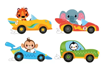 Foto op Canvas Vector set clipart moderne cartoon raceauto& 39 s met dierlijke chauffeurs. Olifant, tijger, aap, pinguïn. Auto kids grappig en schattig logo. Jongens print - voor kleding, kaarten, banners. Leuk stripfiguur © GreenPencil