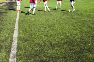 A group of players on the football field warm up before playing by playing the ball