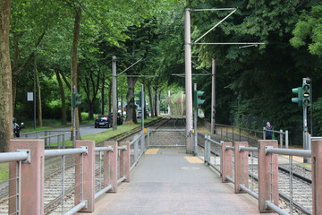 A railway in the green street with trees