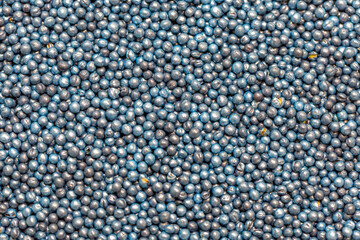 Macro. Processed blue-coated rapeseed seeds in a petri dish in the lab