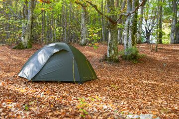 Green tent in autumn forest
