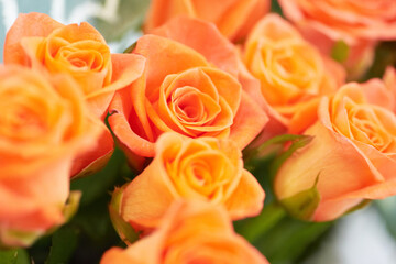 Bunch of beautiful red roses