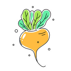 Vector illustration of yellow turnip with green leaf