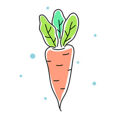 Vector illustration of orange carrot with green leaf
