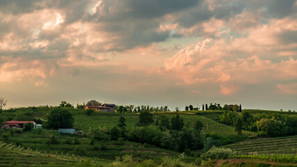 Spring stormy sunset in the vineyards of Collio Friulano, Friuli-Venezia Giulia, Italy