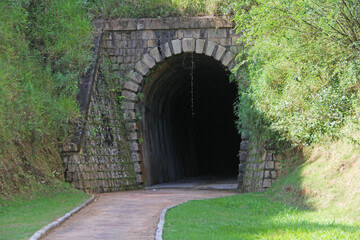 tunnel in park
