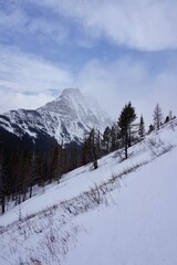 Fototapeta na wymiar Rocky Mountains in Winter