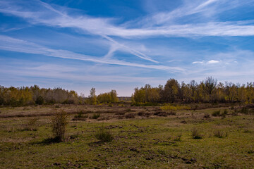 Wonderful landscape in the Drover Heide nature reserve - obrazy, fototapety, plakaty
