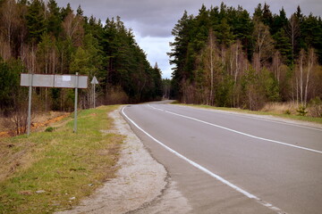 asphalt road through the forest