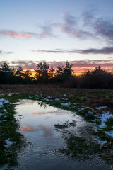 Sunset reflected in puddle of water on Whidbey Island trail
