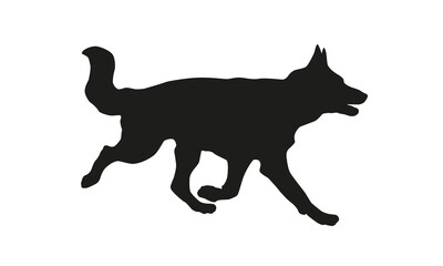 Running german shepherd dog puppy. Black dog silhouette. Isolated on a white background.