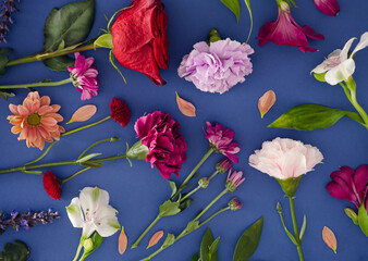 Various spring flowers on blue  background. Creative nature concept idea.