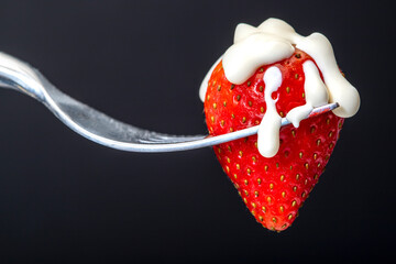 Strawberry and Cream.  An isolated strawberry, pierced on a fork, with a dribble of whipped cream.