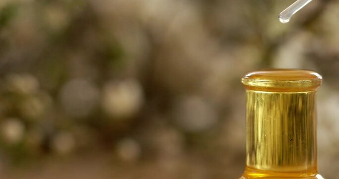 olive oil in a bottle