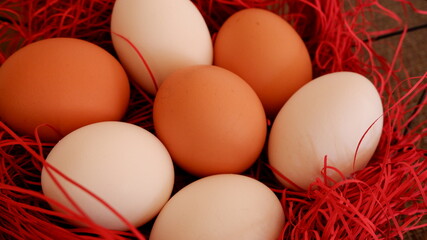 商用で使える卵の写真