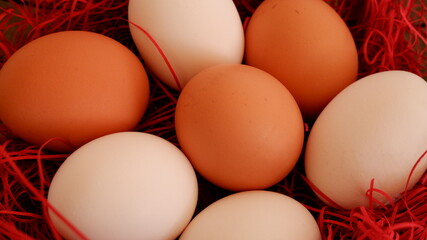 商用で使える卵の写真