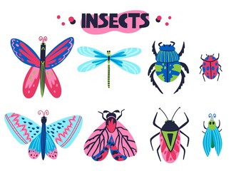 Insects set. Cartoon doodle bright colorful butterfly and dragonfly, hand drawn moth and beetle, ladybug and bug, beautiful pink and blue modern decor collection, vector isolated illustration © Mariya