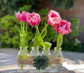tulips in a vase