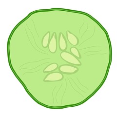 cucumber slice illistration isolated on white background