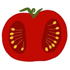 tomato slice illustration isolated on white background