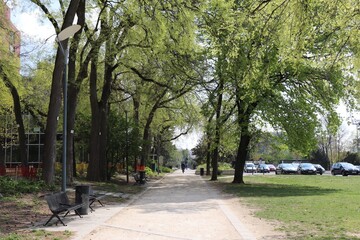 Le parc Louis Dupic, grand jardin public, ville de Vénissieux, département du Rhône, France