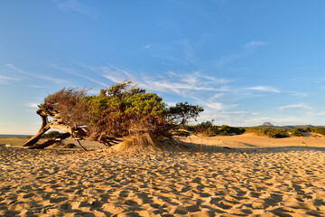 The dune di Piscinas , Sardinia - Italy.