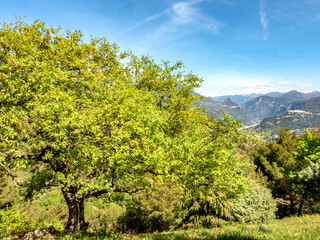 Fototapeta na wymiar Panorama sur la vallée du Var au milieu des montagnes des Alpes dans le Sud de la France près de Nice