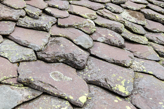 Toit de lauze d'un buron pr&egrave;s de Salers dans le Cantal