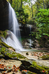 Obraz premium Waterfall in the forest