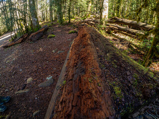 Fototapeta premium walk through the national park of ordesa and lost mountain