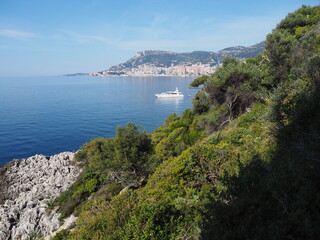 vue sur la nature et la baie de Monaco
