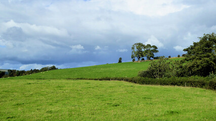 Obraz premium Summertime landscape in the hills of Wales.