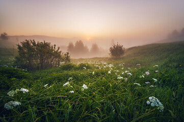 amazing view with high mountain village on horizon and fog. summer landscape. beautiful natural background