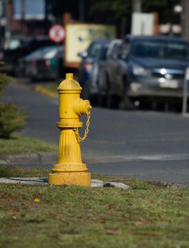 Yellow Fire Hydrant